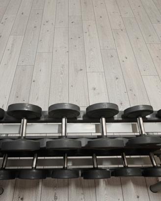 Rack/manubri Technogym