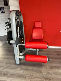 Technogym /panatta attrezzature
