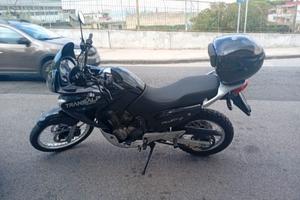 Honda XL 650 Transalp-2001