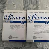 Libri filo rosso b volume 2