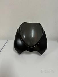 Cupolino Ducati Monster