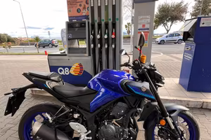 Mt 03 2026