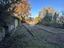 Immagine 28