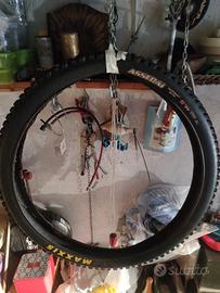copertone per MTB. 