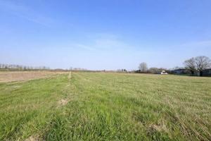 Terreno di 3595 m² a Castagnaro