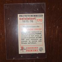 PANINI figurina  rara