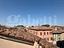 Immagine 15
