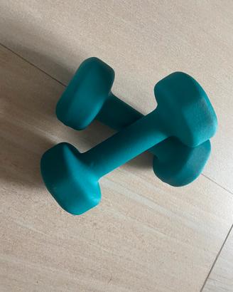 Manubri - pesi 3kg