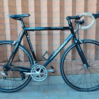 Colnago Active B-stay