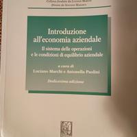 Introduzione all' economia aziendale 