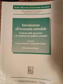 Introduzione all' economia aziendale 