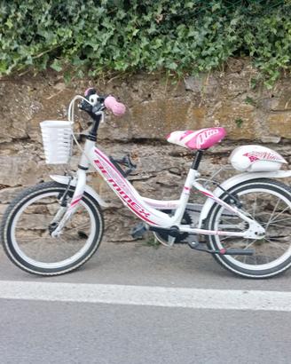 bicicletta