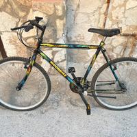 Bici da passeggio