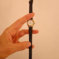 Orologio Sekonda