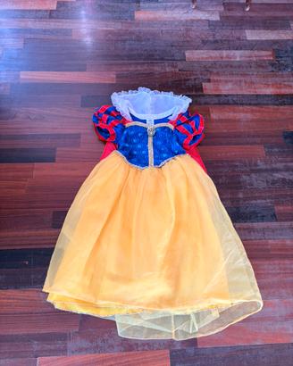 Vestito carnevale