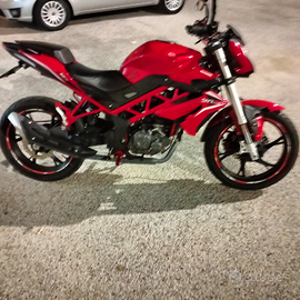 Moto Benelli BN 125 del 2022