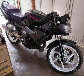 Honda Raiden  base per restauro o ricambi