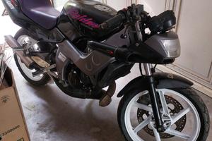 Honda Raiden  base per restauro o ricambi