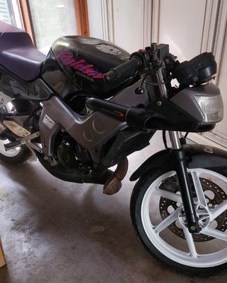Honda Raiden  base per restauro o ricambi