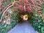 Immagine 9