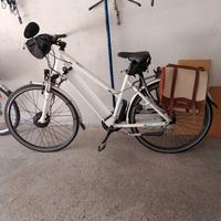 bicicletta elettrica 