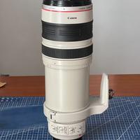 Canon L 28-300
