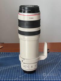 Canon L 28-300