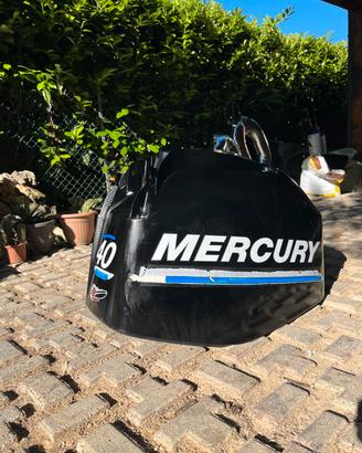 Calandra motore mercury