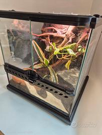 Terrario exoterra