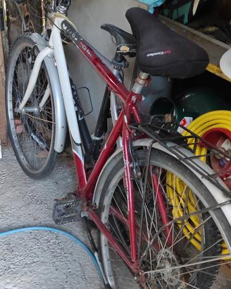 bici città 