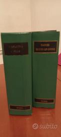 Cofanetto cartonato 2 op Dante e Manzoni edizione
