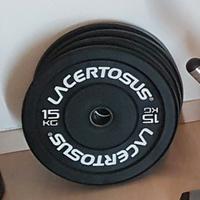 SET TRAINING Bumper Plates - 200 KG Lacertosus