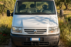 Renault mascotte
