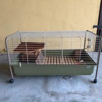 Gabbia per conigli domestici