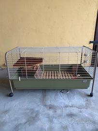 Gabbia per conigli domestici