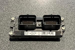 Centralina Griso 1100