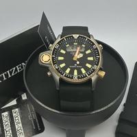Citizen Aqualand 40° anniversario, da collezione.