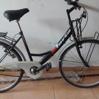 bicicletta olandese adulto