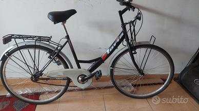 bicicletta olandese adulto