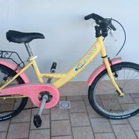 bicicletta ruota  20 pollici