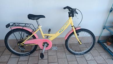 bicicletta ruota  20 pollici