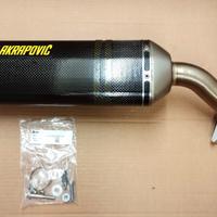 Terminale Akrapovic Carbon Honda CB500 Hornet - F