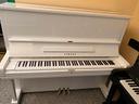 yamaha-u3-bianco-consegna-tutta-italia