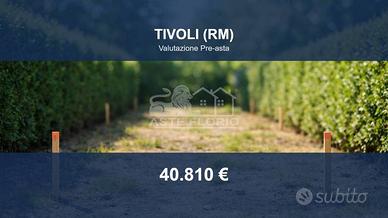 Immobile in asta di 7349 m² a Tivoli