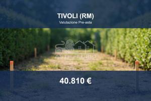 Immobile in asta di 7349 m² a Tivoli