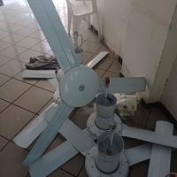 ventilatore da soffitto vortice