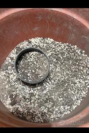 Terriccio piante grasse