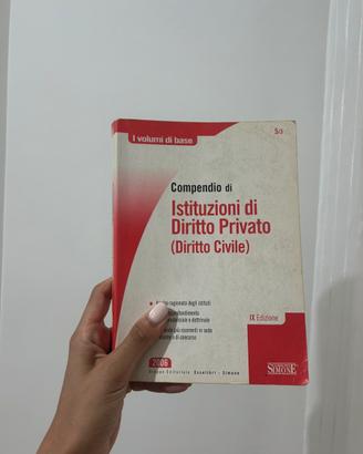 Compendio di istituzioni di diritto privato 2006