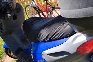 piaggio skipper
