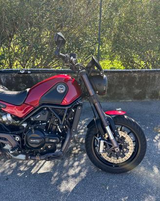 Benelli Leoncino 500 (2019), pronto all’uso